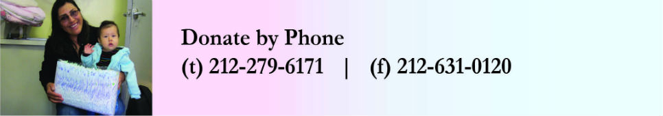 Donate by phone